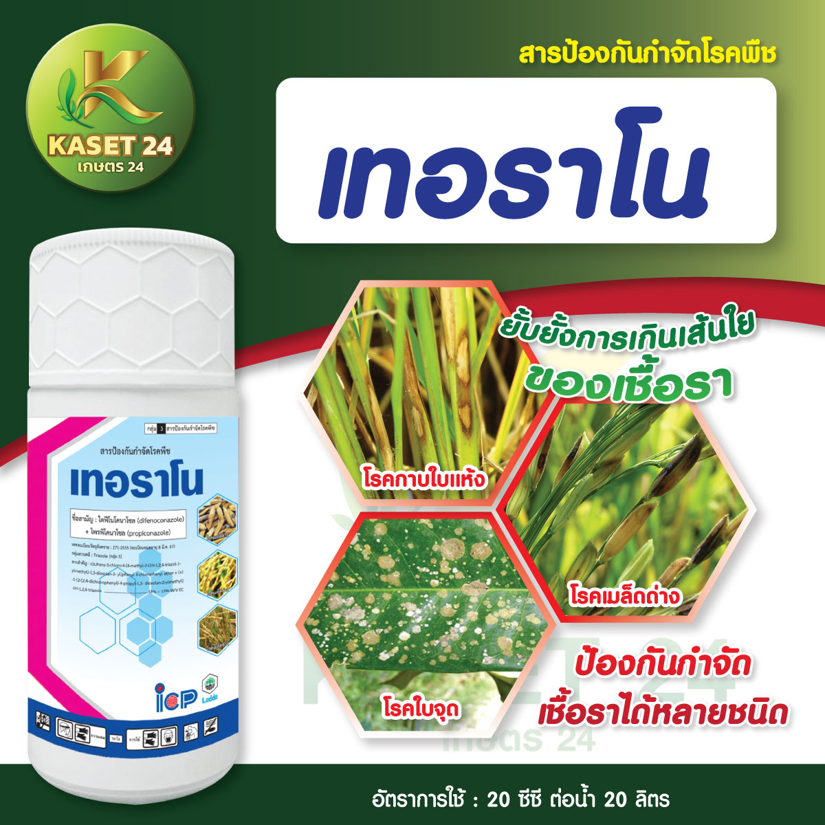 ยากำจัดเชื้อรา เทอราโน (ไดฟีโนโคนาโซล + ไพรพิโคนาโซล15% + 15% EC ) กำจัดโรคแอนแทรคโนส ราสีชมพู ใบติด ใบไหม้ ฟิวซาเรียม (ขนาด 1 ลิตร) ส่งฟรีเก็บเงินปลายทาง (ไม่บวกเพิ่ม)