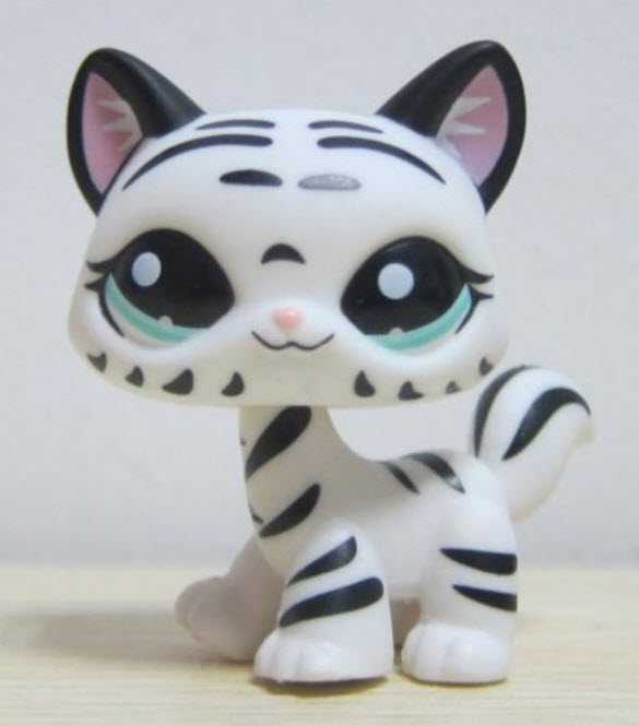แมวเมนคูน (Naine Coon) สีขาวลายทางดำ ตาสีเขียว
