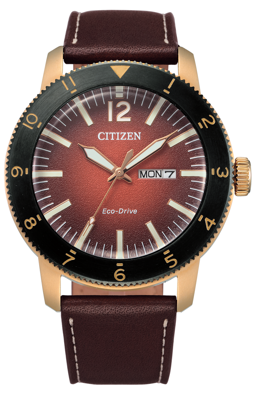Citizen AW0079-13X นาฬิกาผู้ชาย Eco-Drive Men's Watch