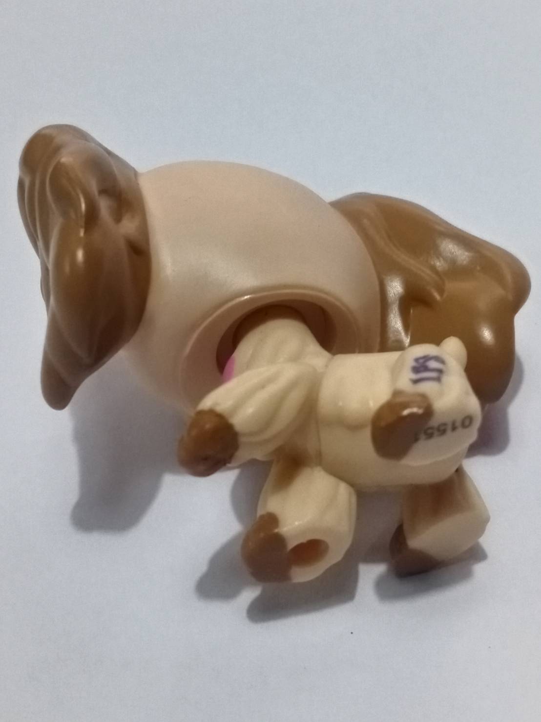 สุนัข Cocker Spaniel สีน้ำตาล ทูโทน ตาสีเขียว #1163