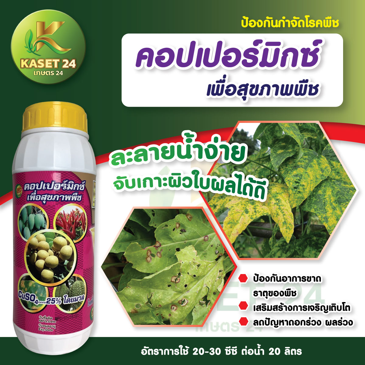 คอปเปอร์มิกซ์ สารกำจัดเชื้อรา สูตรเข้มข้น ผสมธาตุอาหารรอง เร่งการเจริญเติบโตของพืช สร้างภูมิคุ้มกันโรคพืช ใบเขียวเข้ม (ขนาด 1 ลิตร) ส่งฟรีเก็บเงินปลายทาง (ไม่บวกเพิ่ม)