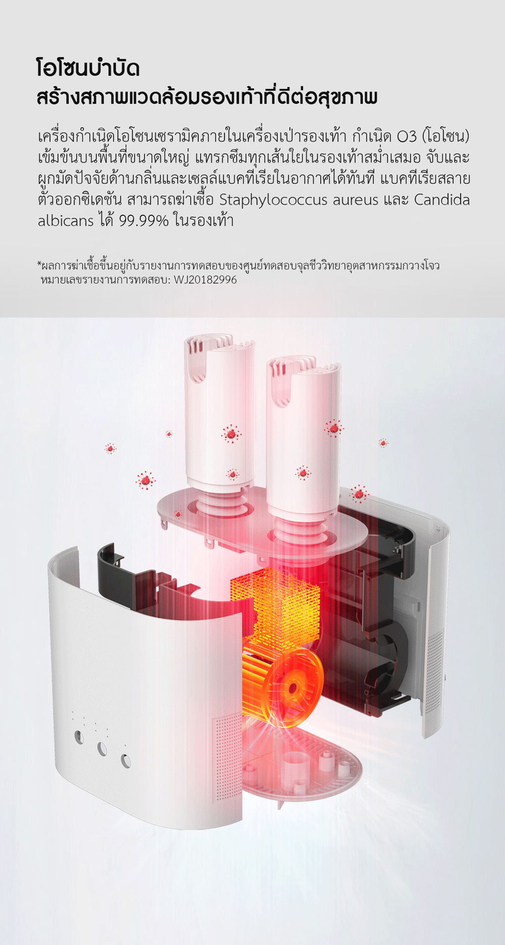 Xiaomi Deerma Shoes Dryer - เครื่องเป่ารองเท้า Deerma