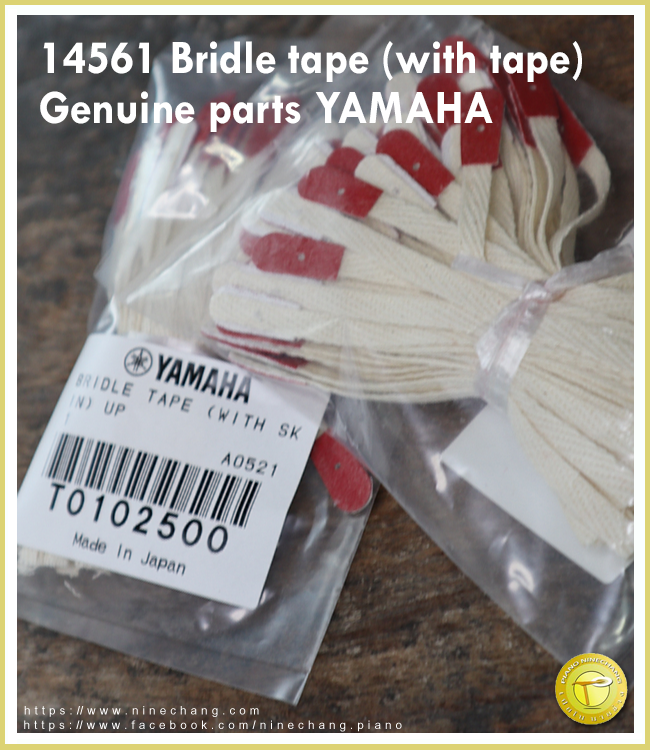 14561 Bridle tape (with tape) UP