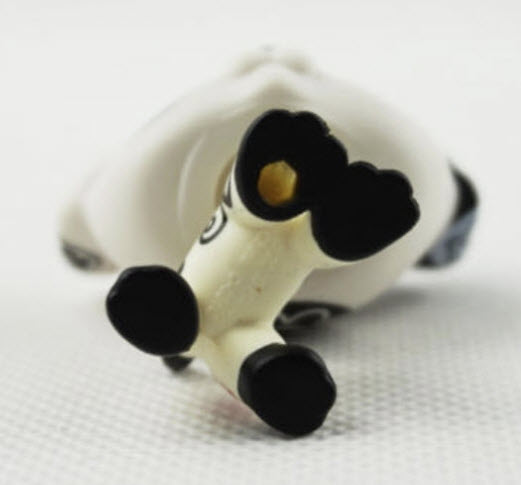 สุนัข Dalmatian สีขาว-ดำ ตาสีฟ้า ลำตัวสกรีนลาย