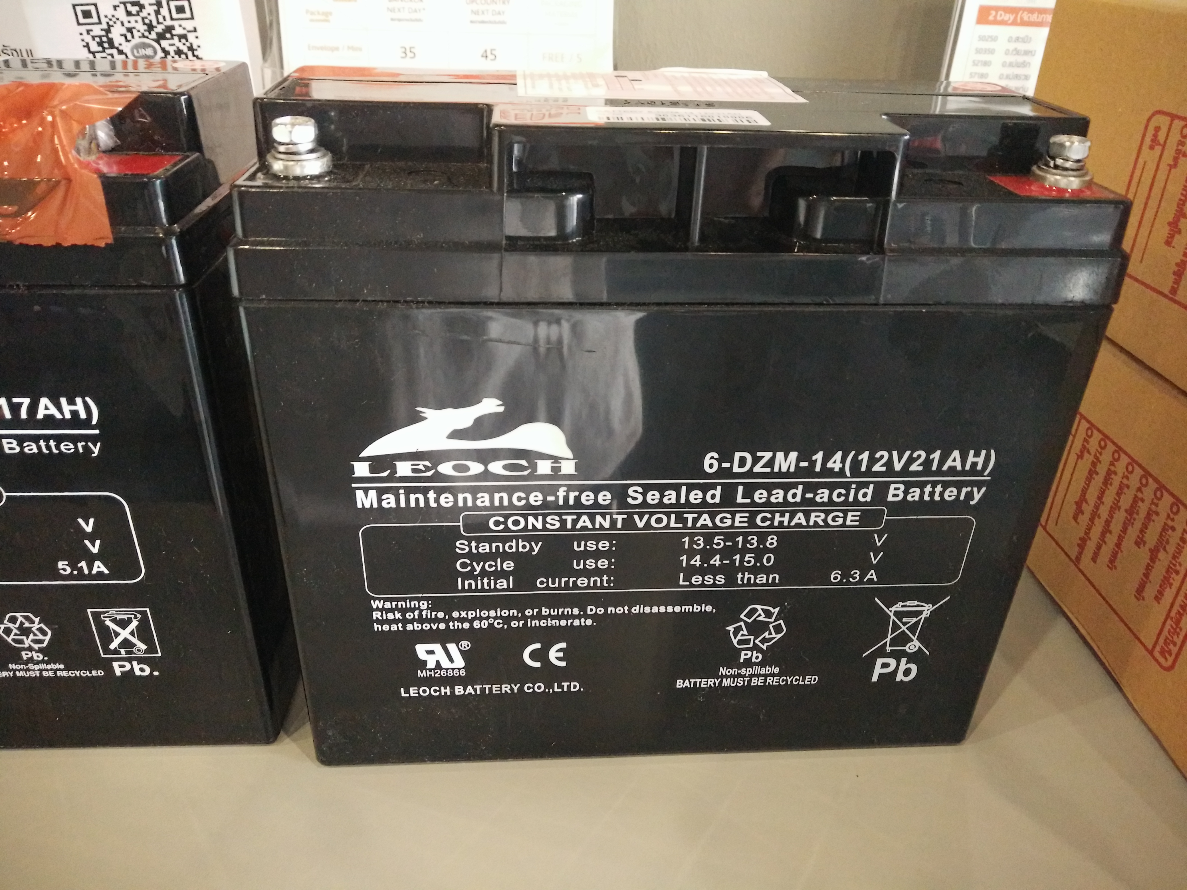 12V 21AH LEOCH