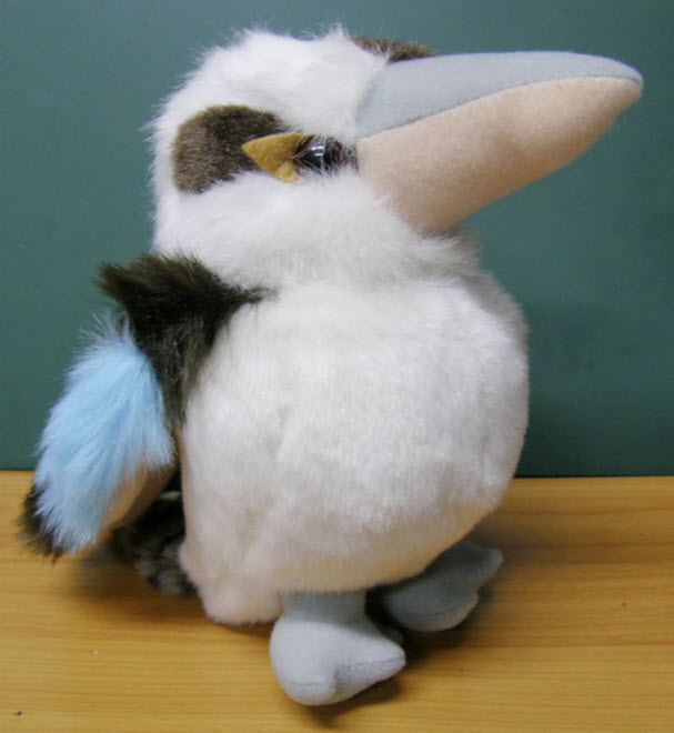นกคุกคาบารา (Kookaburra) หรือนกขยันหัวเราะ ขนาด 12 นิ้ว