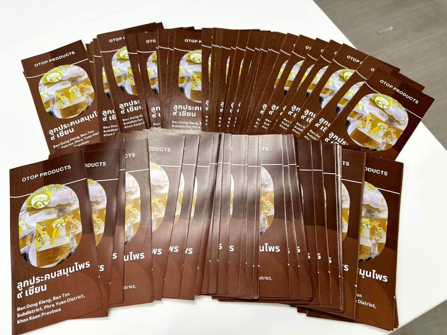 ผลงานพิมพ์แผ่นพับ