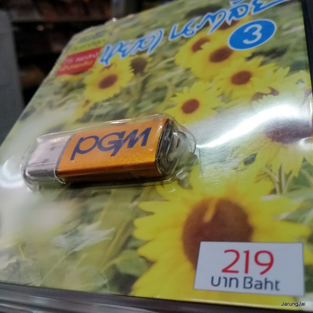 usb หยาด นภาลัย ชุด 3 จูบเย้ยจันทร์ หยาด วงจันทร์ พ่อแง่แม่งอน ทุยจ๋าทุย mp3 usb pgm