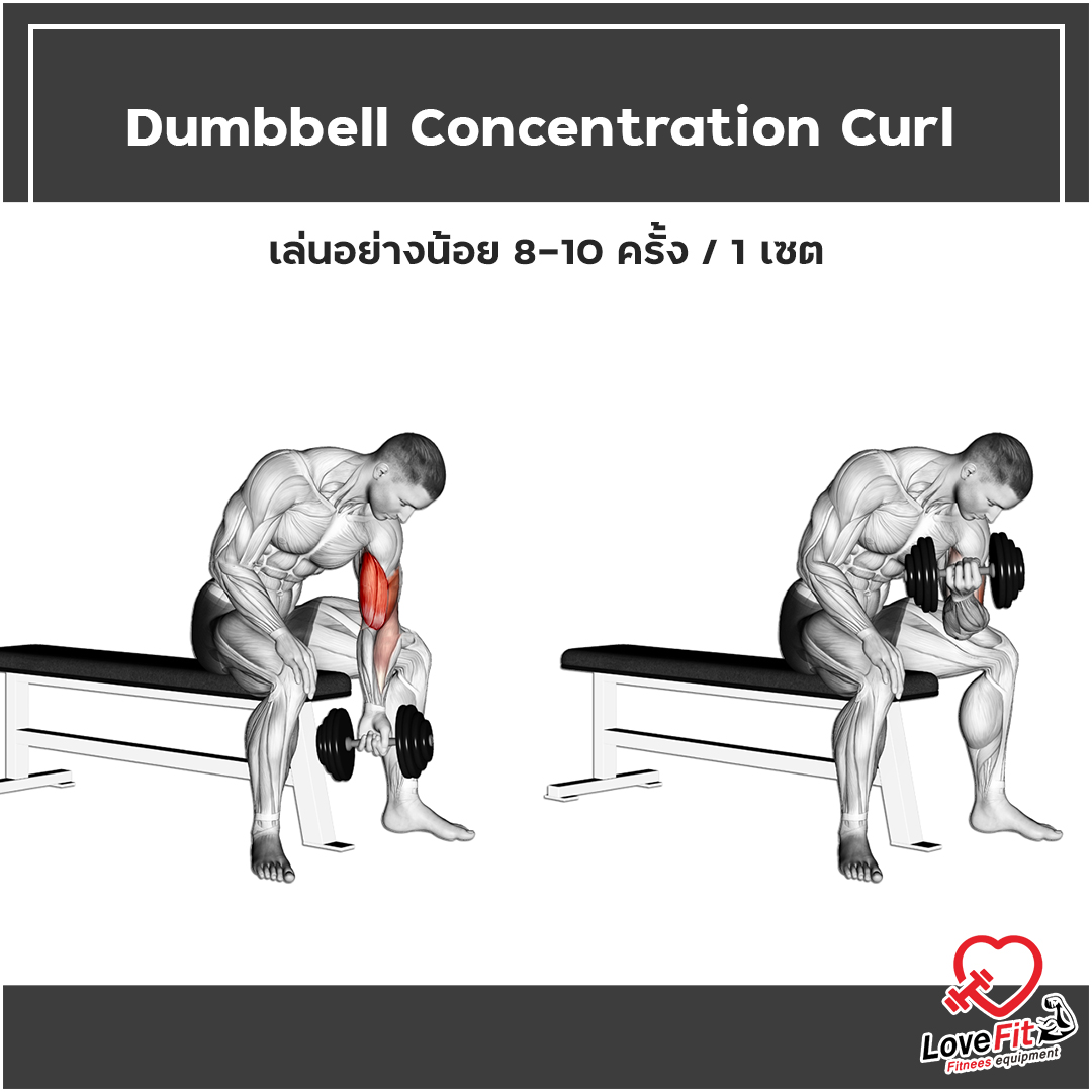 ดัมเบล , Dumbell , เล่นกล้าม , ออกกำลังกาย , เล่นกล้ามแขน , ท่ายกดัมเบล