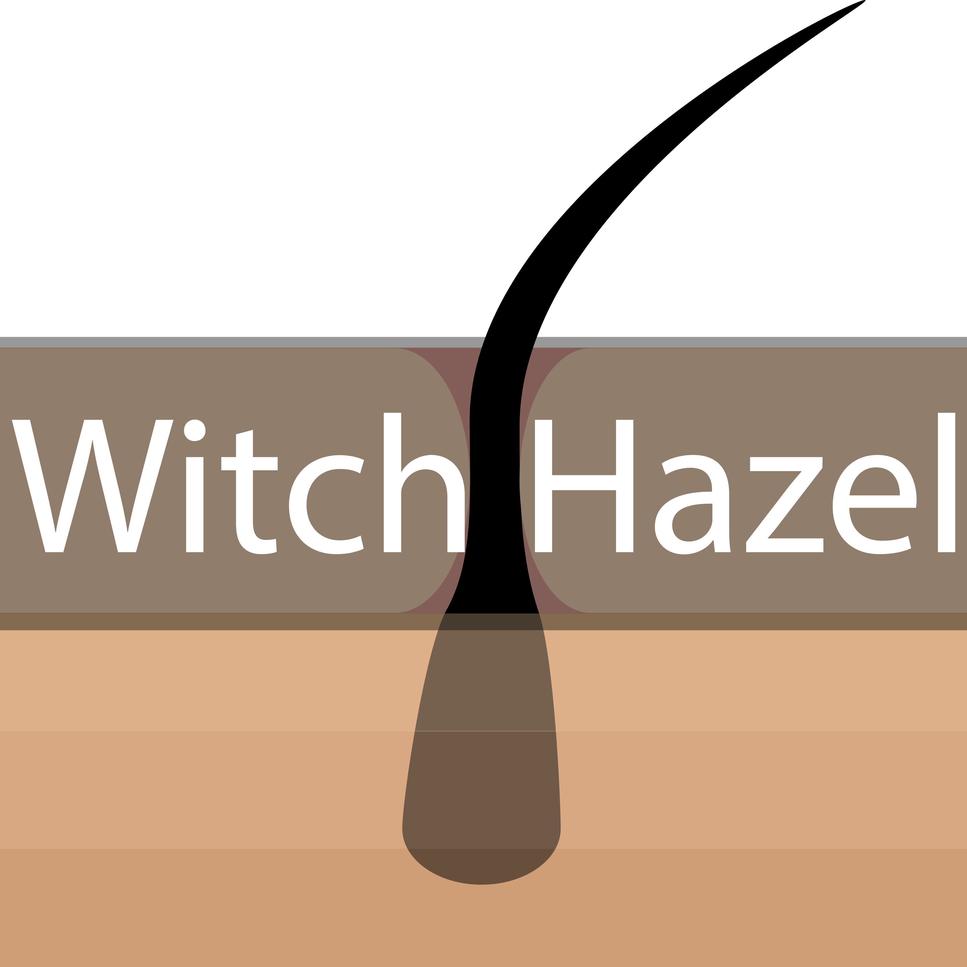 Witch Hazel กระชับรูขุมขน 25 ml.