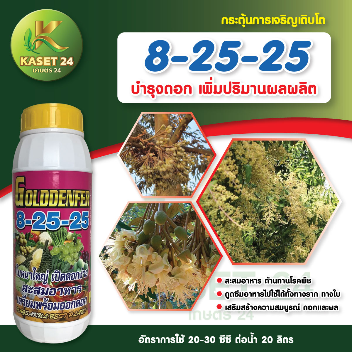 ปุ๋ยน้ำ โกลเด้นเฟอร์ 8-25-25 ปุ๋ยสะสมอาหาร กระตุ้นการออกดอก บำรุงดอก ลดการแตกยอด (ขนาด 1 ลิตร)ส่งฟรีเก็บเงินปลายทาง (ไม่บวกเพิ่ม)