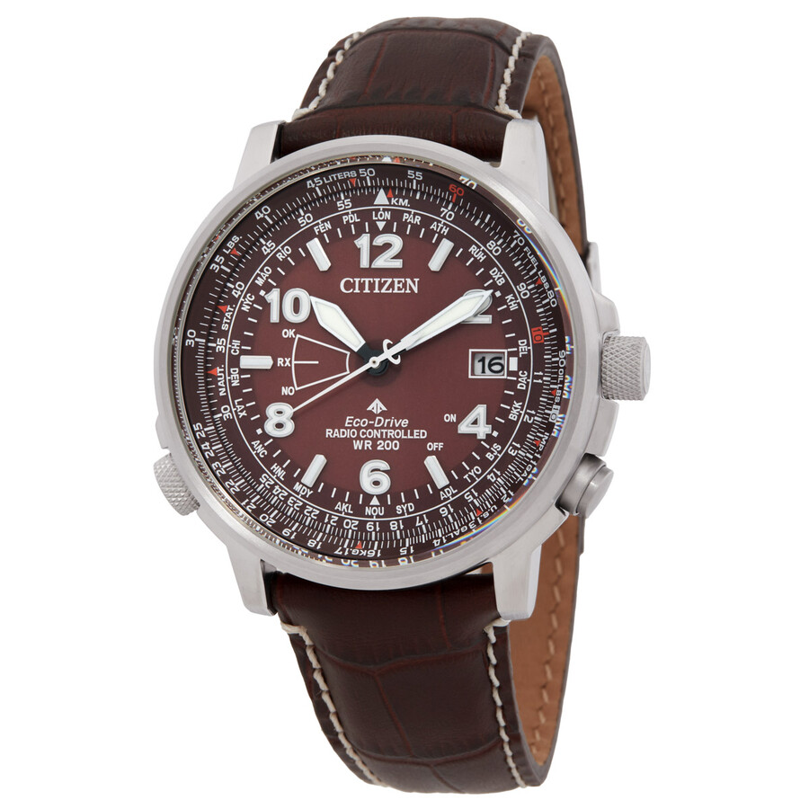 Citizen CB0248-01X นาฬิกาผู้ชาย Promaster Sky Perpetual World Time Eco-Drive Men's Watch