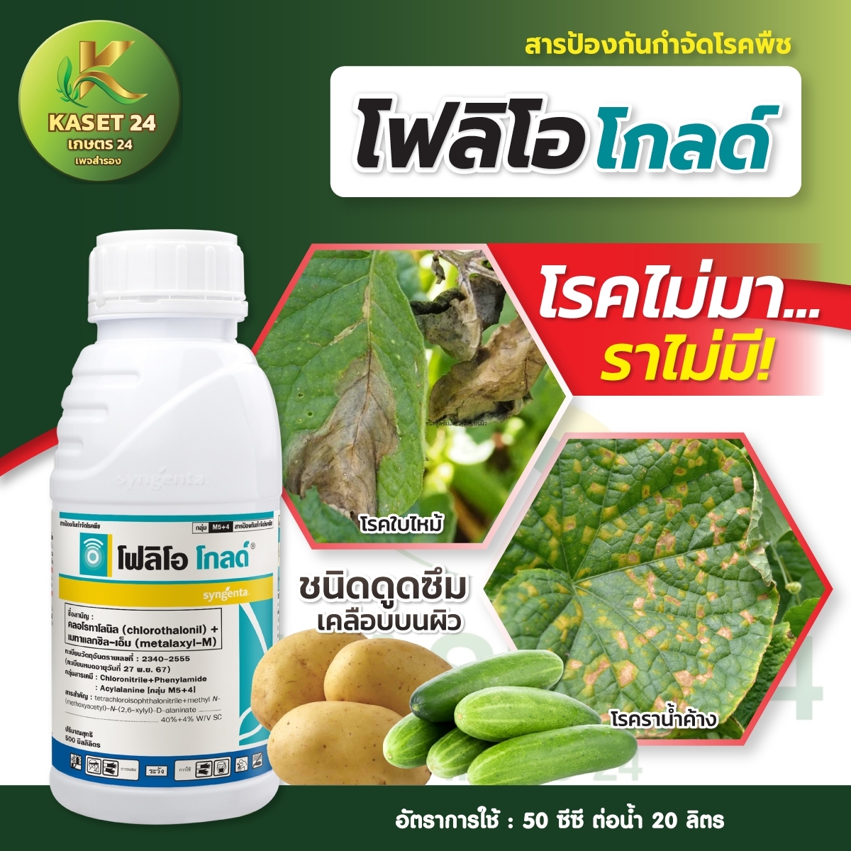 โฟลิโอโกลด์ สารคลอโรทาโลนิล+เมทาแลกซิล-เอ็ม โรคใบไหม้ โรคราน้ำค้าง