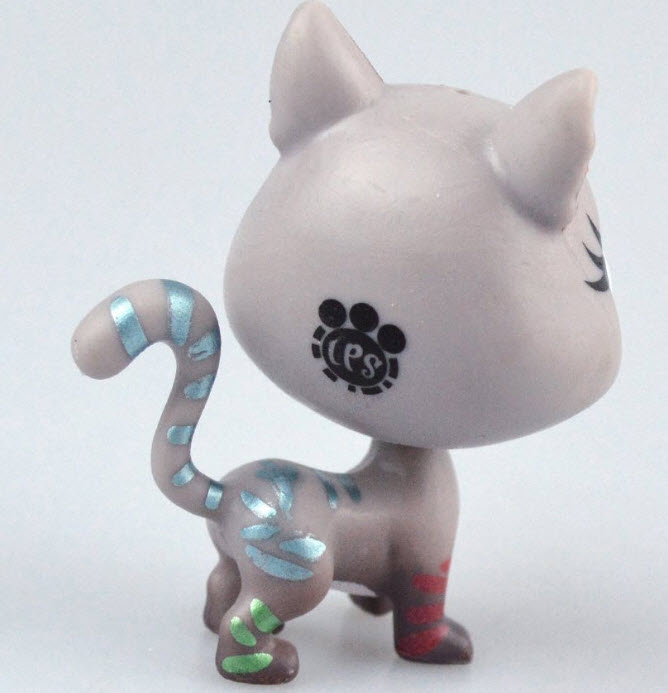 แมวสยาม (Siamese cat) สีเทา หางลาย