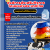 แนวข้อสอบเจ้าหน้าที่ความปลอดภัยในการทำงาน 4 องค์การส่งเสริมกิจการโคนมแห่งประเทศไทย 2568