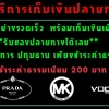 LUCYEYES มีบริการเก็บเงินปลายทาง