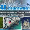 รับบินโดรน ช่างภาพวีดีโอ โทร 061-5488194 รับบินโดรน ถ่ายภาพและวิดีโอมุมสูงโดยช่างภาพมืออาชีพ