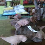 ฝูงปลาพะยูน ไม้เทพทาโร