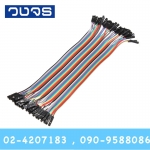 สายจั๊ม 40Pin ยาว20cm เมีย-เมีย