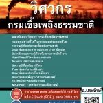 แนวข้อสอบวิศวกร กรมเชื้อเพลิงธรรมชาติ อัปเดต 2568