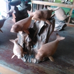 ฝูงปลาพะยูน ไม้เทพทาโร