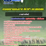 แนวข้อสอบนายช่างศิลป์ กรมอุทยานแห่งชาติ สัตว์ป่าและพันธุ์พืช 2568