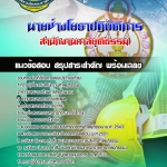 สรุปแนวข้อสอบนายช่างโยธาปฏิบัติการ สำนักงานศาลยุติธรรม 2568