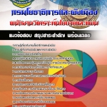 ((HOT)) แนวข้อสอบพนักงานวิเคราะห์นโยบายและแผน กรมโยธาธิการและผังเมือง 2568