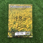 YTS378 [Bio Beam] COMA ม.ต้น จดครบละเอียด เฉลยครบ ขาย500฿