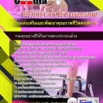 แนวข้อสอบนักวิเคราะห์นโยบายและแผน กรมส่งเสริมและพัฒนาคุณภาพชีวิตคนพิการ 2568