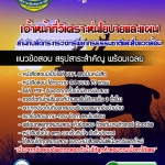 แนวข้อสอบเจ้าหน้าที่วิเคราะห์นโยบายและแผน สำนักปลัดกระทรวงทรัพยากรธรรมชาติและสิ่งแวดล้อม 2568