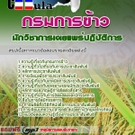 แนวข้อสอบนักวิชาการเผยแพร่ปฏิบัติการ กรมการข้าว 2568