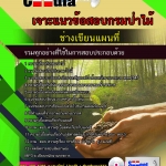 แนวข้อสอบช่างเขียนแผนที่ กรมป่าไม้ 2568