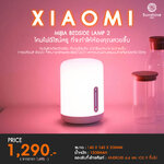 แสงที่ไม่ใช่แค่ไฟ แต่คือบรรยากาศทุกค่ำคืน