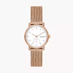 Skagen SKW3099 นาฬิกาผู้หญิง Kuppel Lille Rose gold Women's Watch