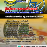 แนวข้อสอบนักวิชาการคอมพิวเตอร์ สำนักงานคณะกรรมการอาหารและยา อย. อัปเดต2568