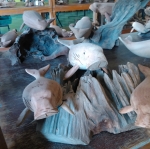 ฝูงปลาพะยูน ไม้เทพทาโร