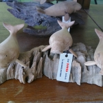 ฝูงปลาพะยูน ไม้เทพทาโร