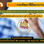 กรมพัฒนาฝีมือแรงงาน รับสมัครคัดเลือกพนักงานราชการ วุฒิ ปวส./ป.ตรี 116 อัตรา รับสมัคร 30 เมษายน – 23 พฤษภาคม 2568