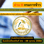 กรมการข้าว รับสมัครคัดเลือกพนักงานราชการ วุฒิ ปวช./ปวส./ป.ตรี หลายจังหวัด 17 อัตรา รับสมัคร 21 – 29 ตุลาคม 2568