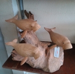 ฝูงปลาพะยูน ไม้เทพทาโร