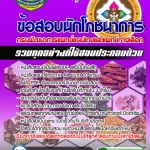 แนวข้อสอบ นักโภชนาการ กรมพัฒนาการแพทย์แผนไทยและแพทย์ทางเลือก 2568