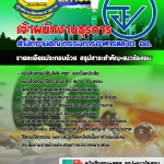 แนวข้อสอบเจ้าพนักงานธุรการ สำนักงานคณะกรรมการอาหารและยา อย. อัปเดต2568