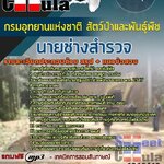 แนวข้อสอบ นายช่างสำรวจ กรมอุทยานแห่งชาติ สัตว์ป่า และพันธุ์พืช 2568