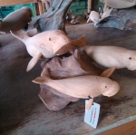 ฝูงปลาพะยูน ไม้เทพทาโร