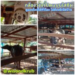 กล้องวงจรปิดแบบใส่ซิม 4G ใช้งานง่ายในทุกพื้นที่ ในสวน ไร่ คอก ฟาร์ม ไม่มีเน็ตบ้านก็ดูออนไลน์ผ่านมือถือได้ทั่วโลก