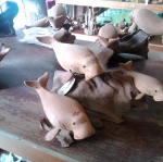 ฝูงปลาพะยูน ไม้เทพทาโร