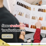 ภัยของสารก่อมะเร็ง ในยาย้อม ปิดผมขาว