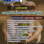 แนวข้อสอบนายช่างเทคนิค กรมอุทยานแห่งชาติ สัตว์ป่าและพันธุ์พืช 2568