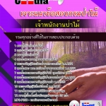 แนวข้อสอบ เจ้าพนักงานป่าไม้ กรมป่าไม้ 2568